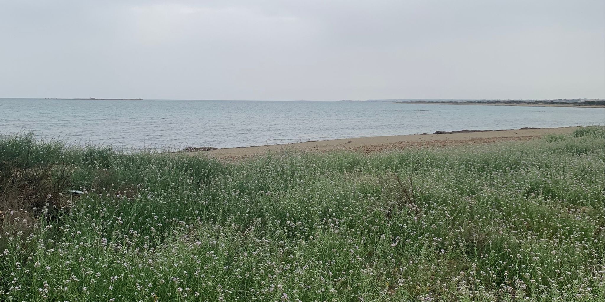 Sicily coast