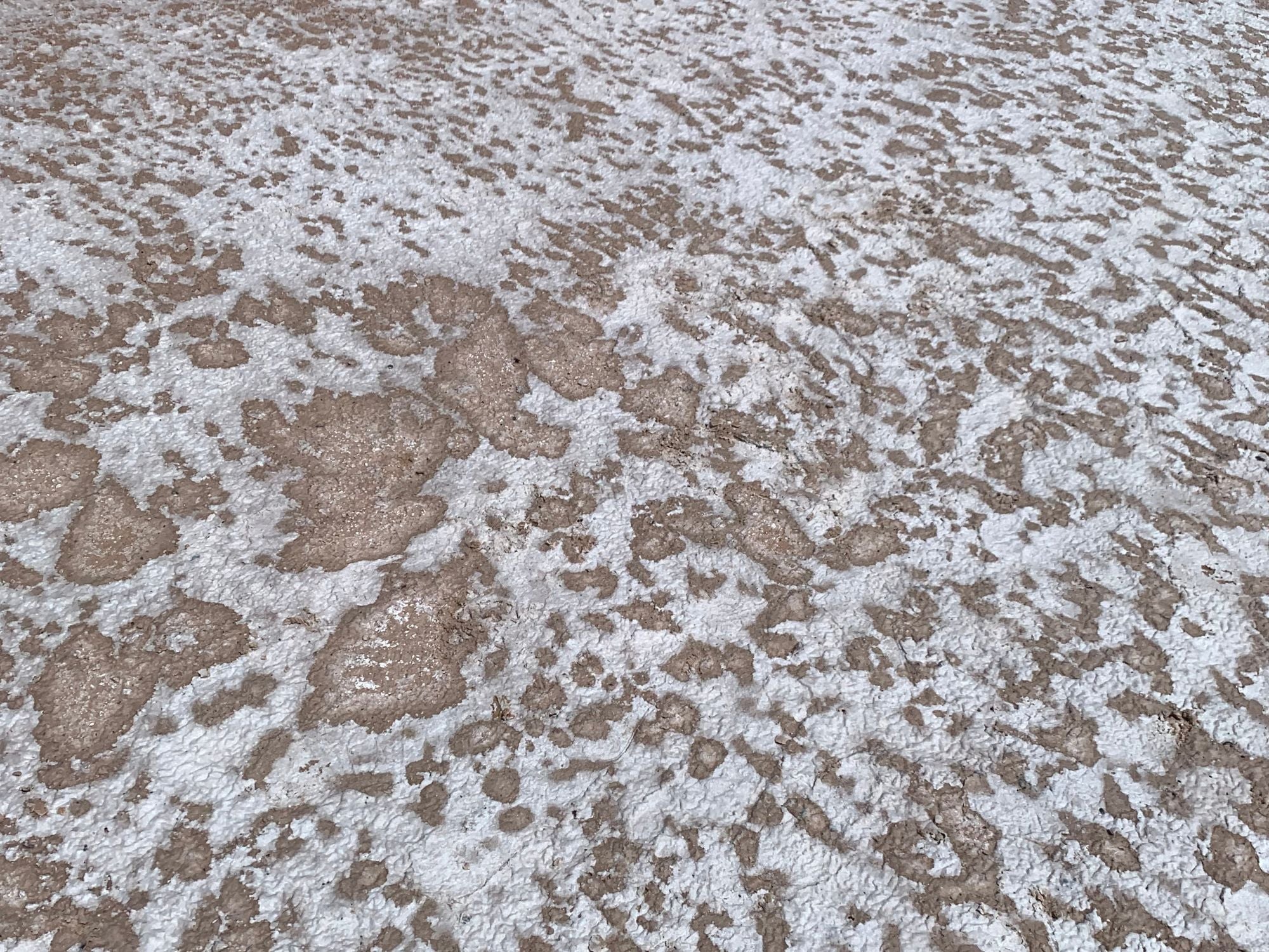 Magata Salinas Grandes Texture Argentina