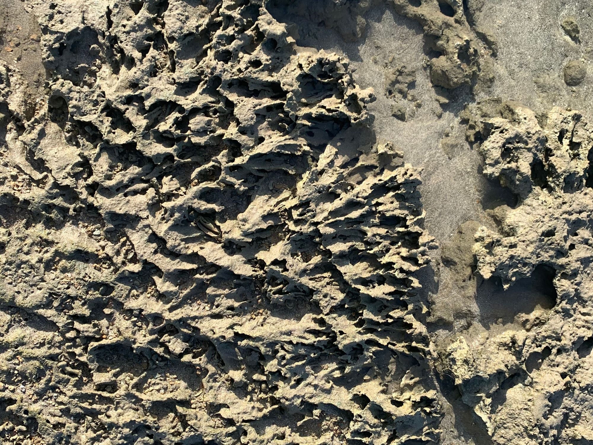 Magata low tide texture Boipeba Brazil