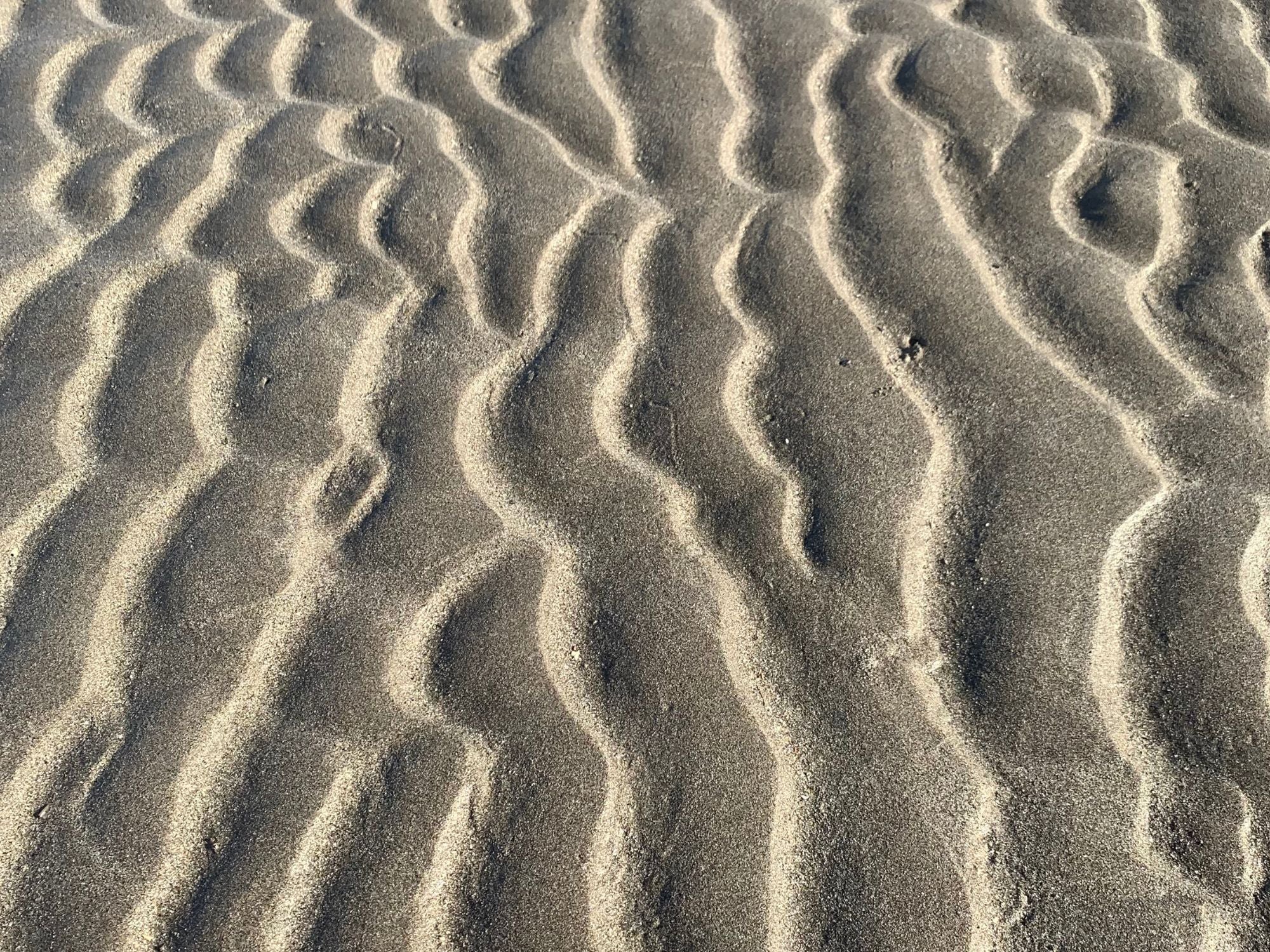 Magata low tide beach texture Salvador Brazil